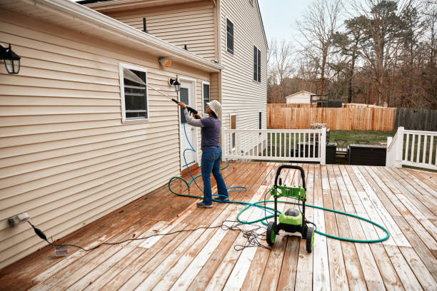 Best Pressure Washing Near Me  in Moore Haven, FL