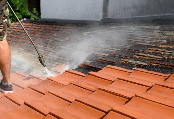 Best Deck Cleaning Services  in Moore Haven, FL