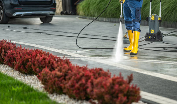 Best Roof Power Washing Services  in Moore Haven, FL