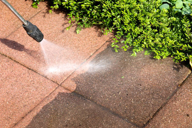Best Pressure Washing Patio  in Moore Haven, FL