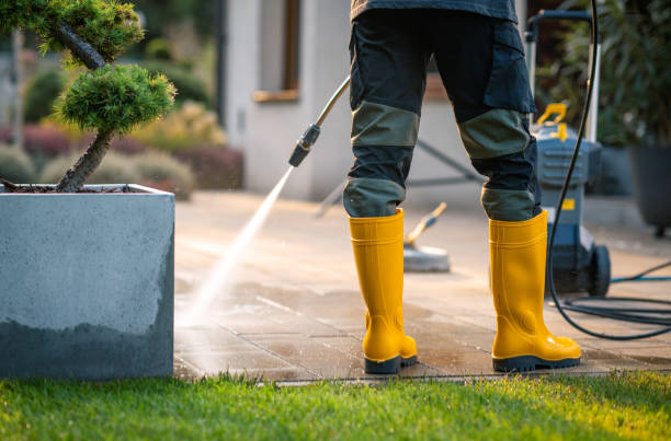Best Affordable Power Washing  in Moore Haven, FL